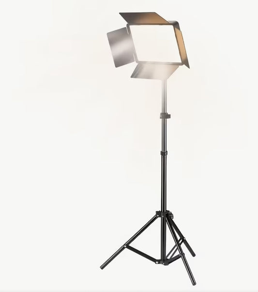 10-Inch Adjustable Ring Light with USB Power